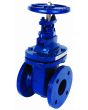 ART210 Cast Iron Table E or D Flanged Gate Valve 4