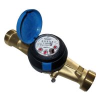 DMS JSC-NK 6.3 (R160) 1" Cold Water Meter